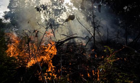 Kalimantan Selatan rawan terjadi kebakaran hutan dan lahan. Pemprov Kalsel Bersinergis Mengantisipasinya. (foto:ist)