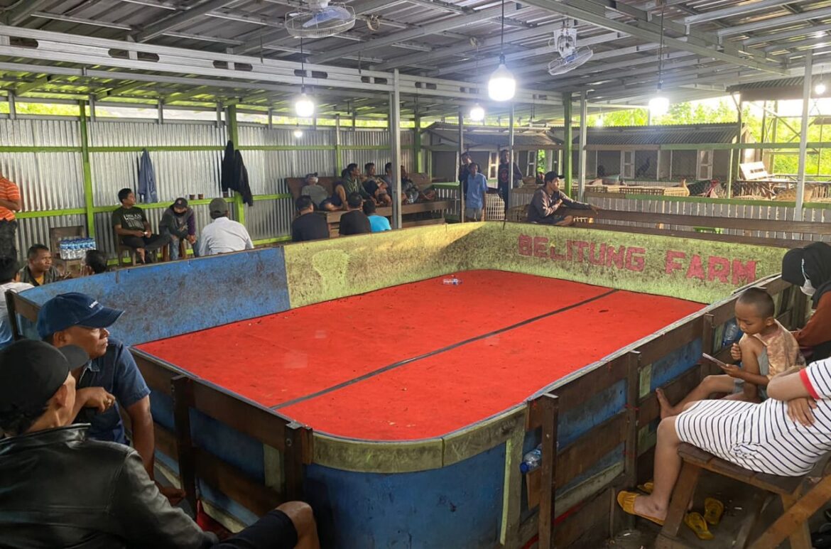 Arena Judi dan Sabung Ayam yang berhasil digrebek polisi (Foto Istimewa)