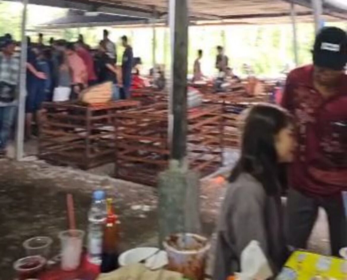 Judi sabung ayam yang diduga berlangsung di kawasan Komplek Dinar 3, Gambut, Kabupaten Banjar. (Foto: screenshot video/istimewa)