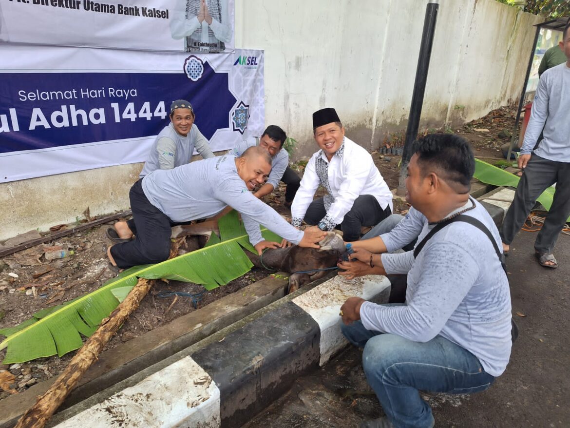 Sekretaris DPRD Provinsi Kalsel Muhammad Jaini pimpin penyembelihan 2 ekor sapi qurban.(foto : ist)