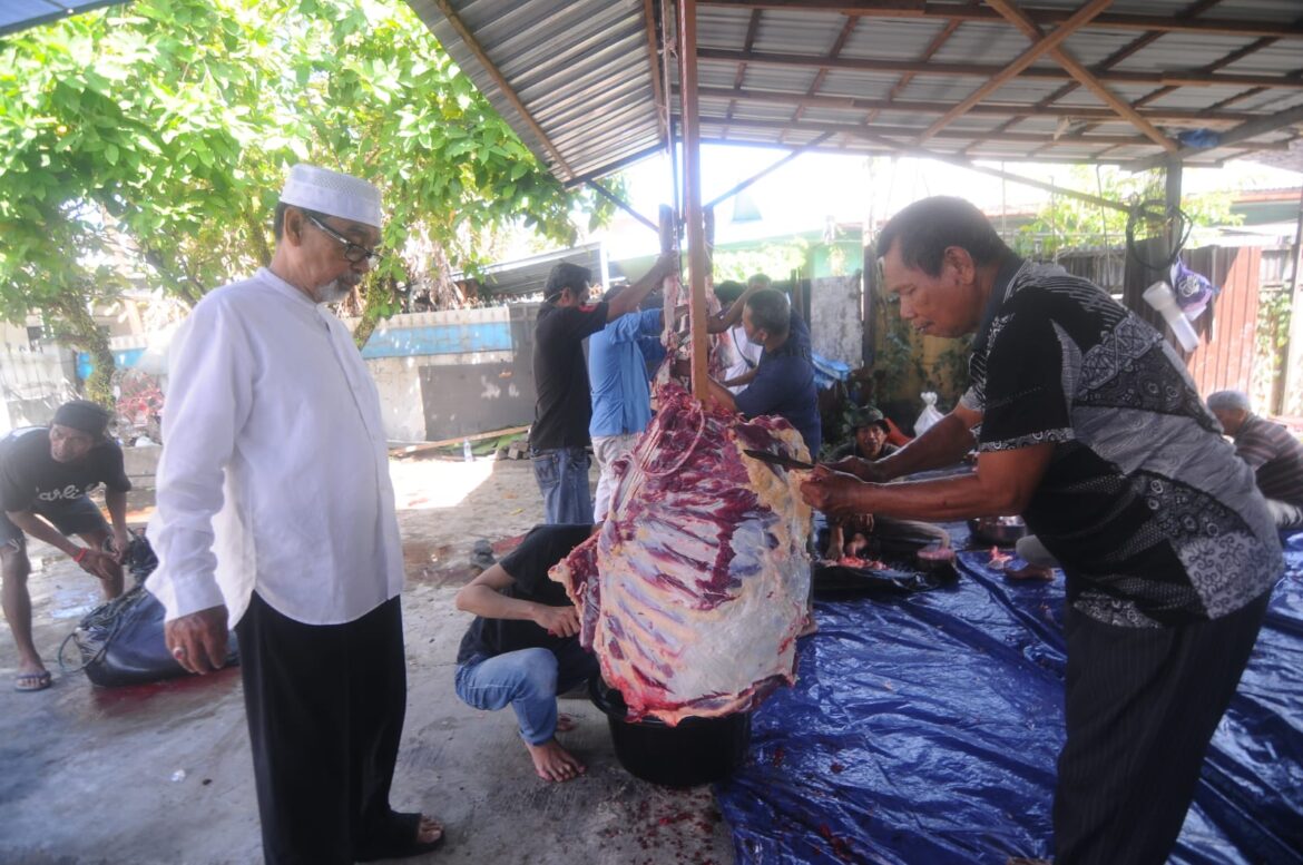 Pemimpin Umum Barito Post, H Guntur Prawira memantau langsung proses pemotongan sapi qurban, di Jalan Gunung Sari Raya, Kelurahan Teluk Dalam, Banjarmasin, Kamis (29/6/2023. (foto : iman satria/ brt)