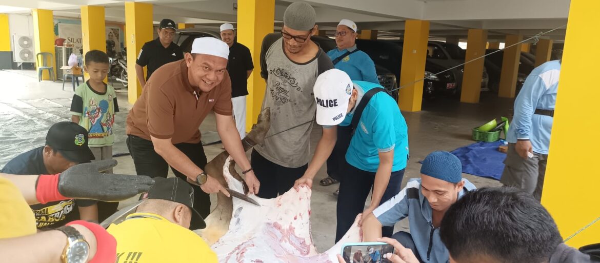 Ketua Umum BKPRMI Kalsel, Hermansyah ikut mengupas kulit hewan kurban yang dipotong di Kantor Dispora Kalsel, Banjarmasin, Jumat (30/6/2023). (foto: Tolah/brt)