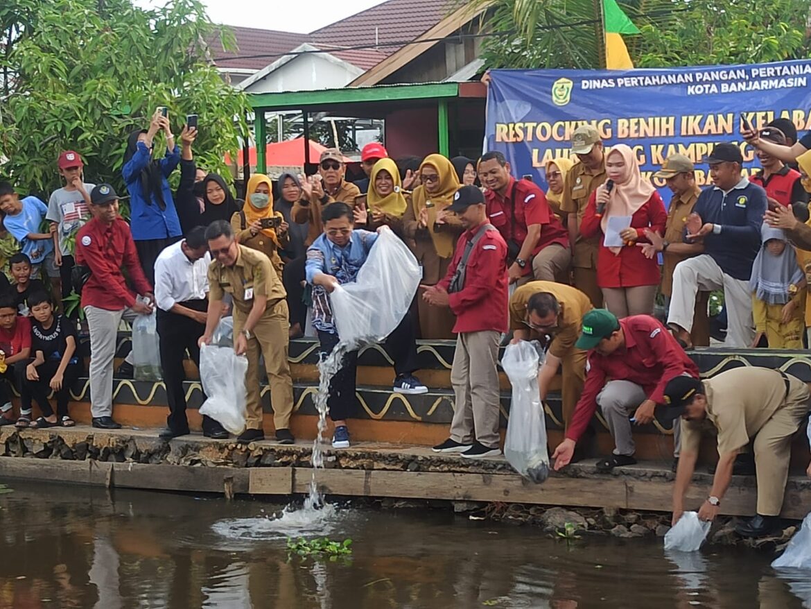 Pelepasan bibit ikan kelabau dan patin di Tatah Belayung, oleh Wali Kota Banjarmasin, Ibnu Sina.