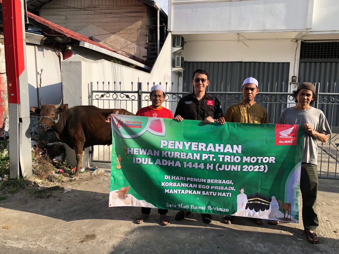 Sapi Kurban untuk Masjid dan Langgar