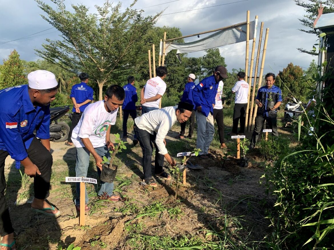 Relawan SDG Kalsel menanam bibit pohon bersama komunitas pemuda (foto:istimewa)
