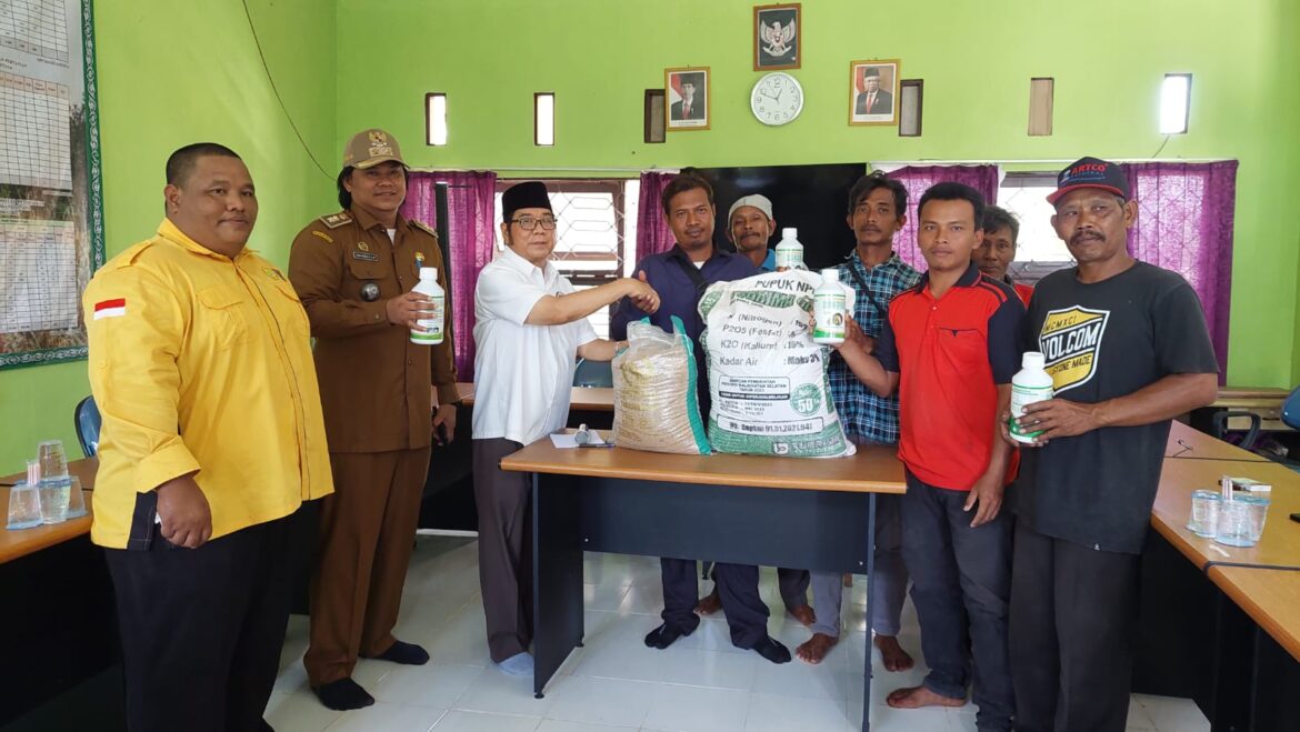 Anggota DPRD Provinsi Kalsel Dr H Karlie Hanafi Kalianda SH MH saat menyerahkan bantuan benih padi, pupuk NPK dan pupuk cair secara simbolis di BPP Mandastana, Kabupaten Batola, Jumat (11/8/2023).(foto : ist)