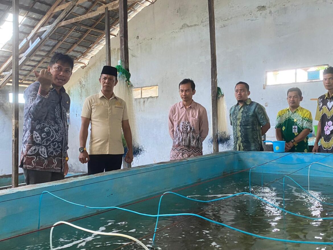 Wakil Ketua Komisi II DPRD Provinsi Kalsel Muhammad Yani Helmi saat meninjau UPTD Perikanan Budidaya Air Payau dan Laut (PBAPL) Kabupaten Kotabaru.(foto : ist)