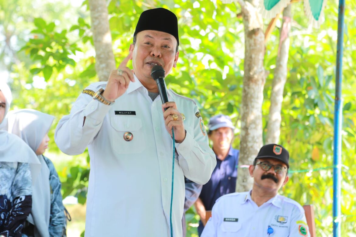  Penjabat (Pj) Bupati Barito Kuala (Batola), Mujiyat