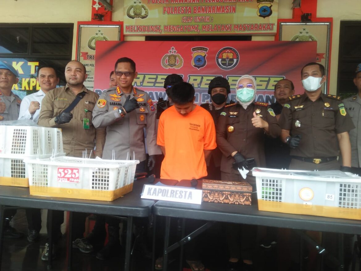 GELAR PENYELUNDUPAN - Kapolresta Banjarmasin Kombes Pol Sabana Atmojo Martosumito saat menggelar kasus penyelundupan hewan dilindungi hukum, didampingi Kajari setempat Indah Laila dan Tim BKSDA Kalsel Fajri, Rabu (13/9/2023) pagi. (foto:sum/brt)