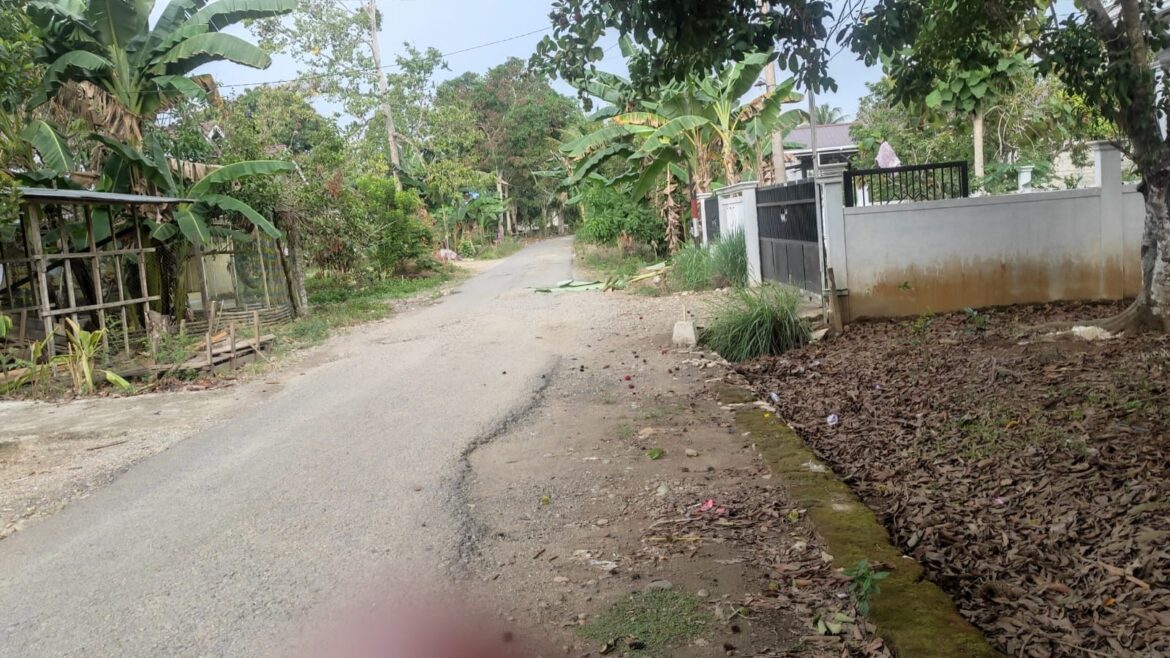 Kondisi jalan Desa Awang Besar yang rusak dan berlubang di Kabupaten HST.(foto : yufanata/brt)