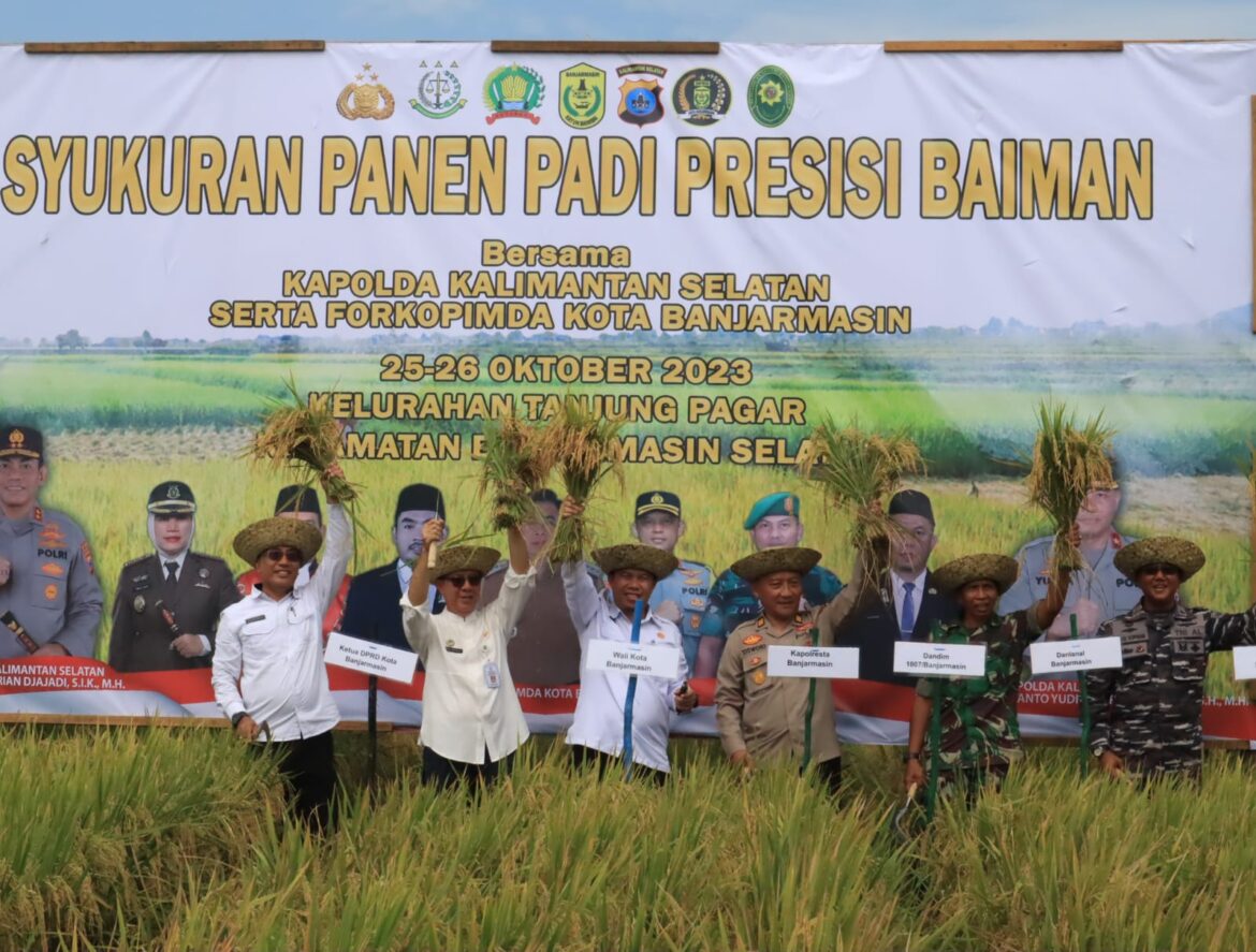 Syukuran panen padi di Banjarmasin Selatan.