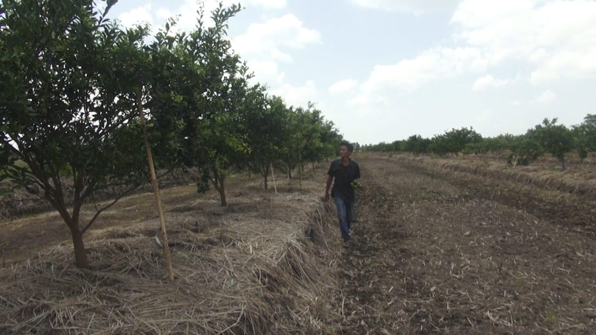 Pola pertanian ramah lingkungan dan membuat kebun petani jadi lebih produktif (foto:istimewa)