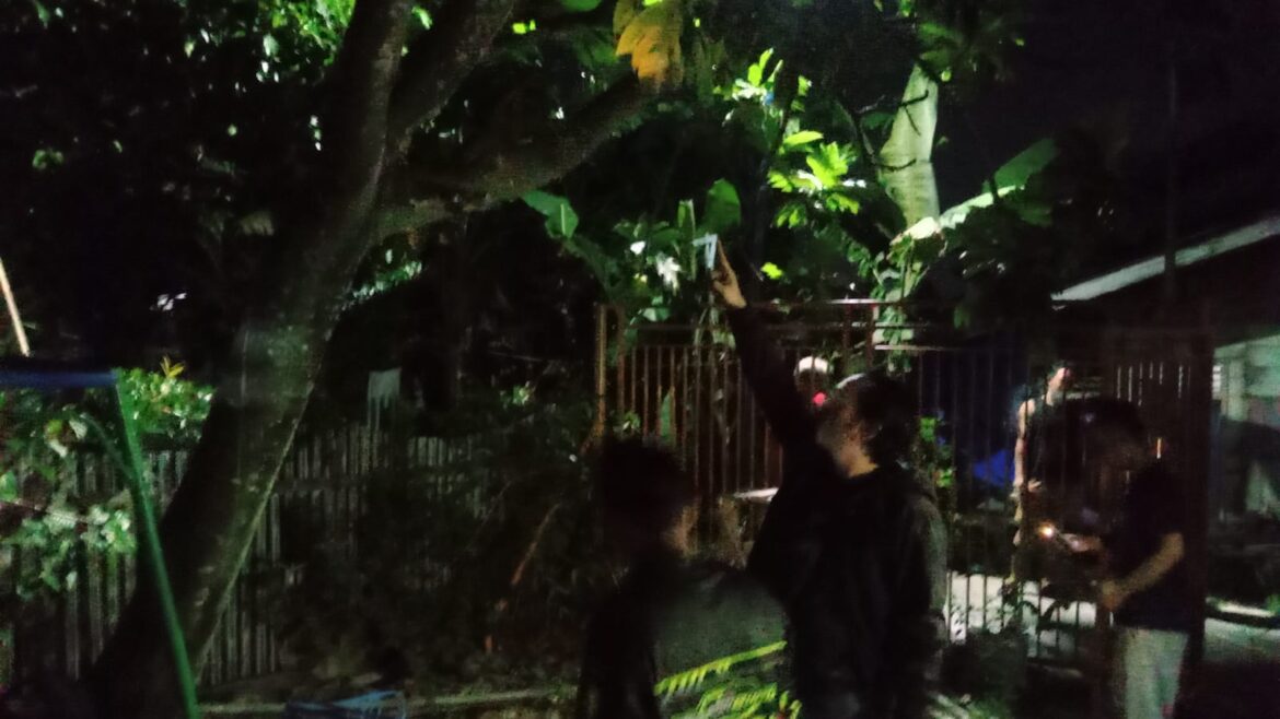 GANTUNG DIRI - salah satu warga saat menunjukkan pohon yang dipakai gantung diri korban bernama Ahmad Teguh Faisal warga TTD Gang Ampeta II Kecamatan Banjarnasin Barat, Selasa (19/12/2023) malam. (foto:ist)