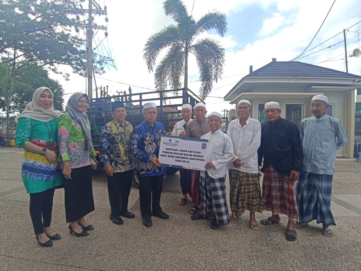 Bank Kalsel dan Pemkab Banjar berikan bantuan satu ekor sapi (foto:humas bank kalsel)