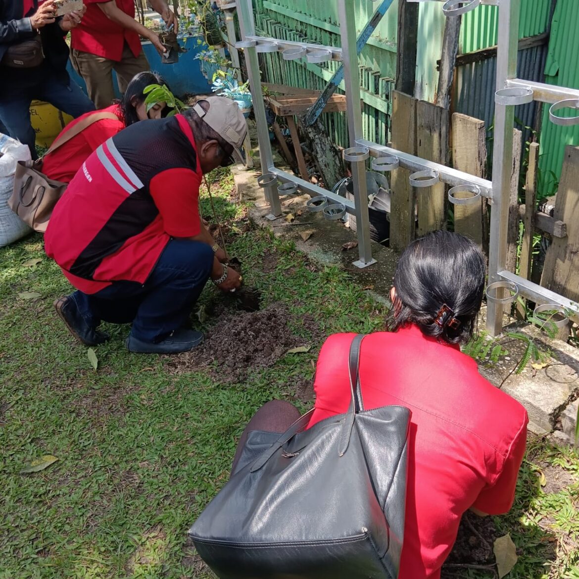 Tampak Caleg Banjarmasin Barat Saut Nathan Samosir, Erlina Sipayung, Yulita Yesi Menamam Pohon Bersama (foto:istimewa)