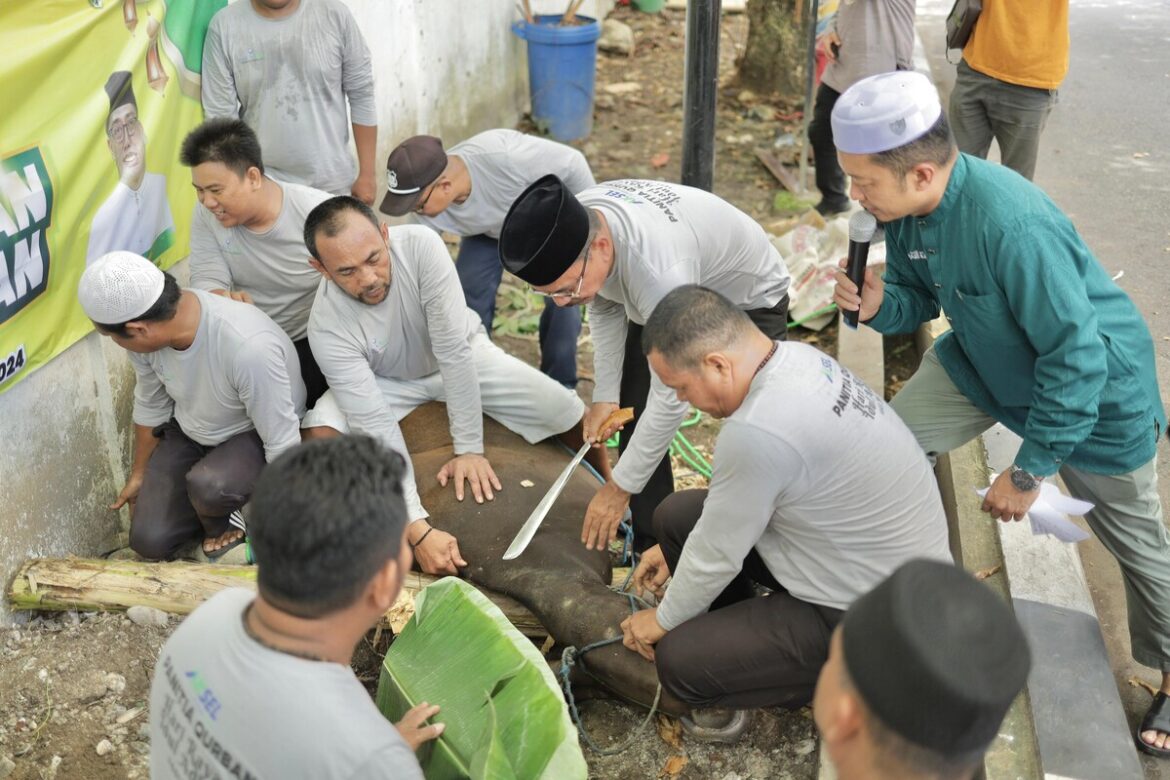Ketua DPRD Provinsi Kalsel DR (HC) H Supian HK SH MH saat menyembelih sapi kurban di halaman belakang Kantor DPRD Provinsi Kalsel.(foto : humasdprdkalsel)