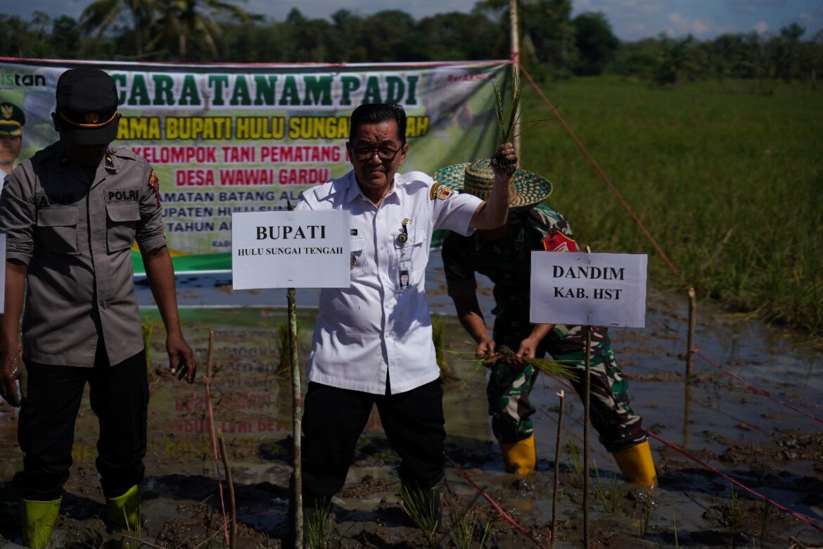 Wabub HST lakukan Tanam Padi bersama