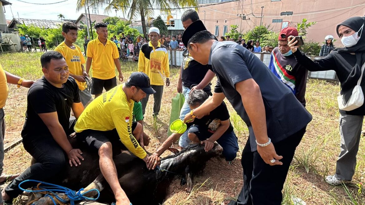 Wakil Ketua Komisi II DPRD Provinsi Kalsel Muhammad Yani Helmi menyiramkan air kembang kepada hewan kurban sebelum disembelih.(foto : ist)