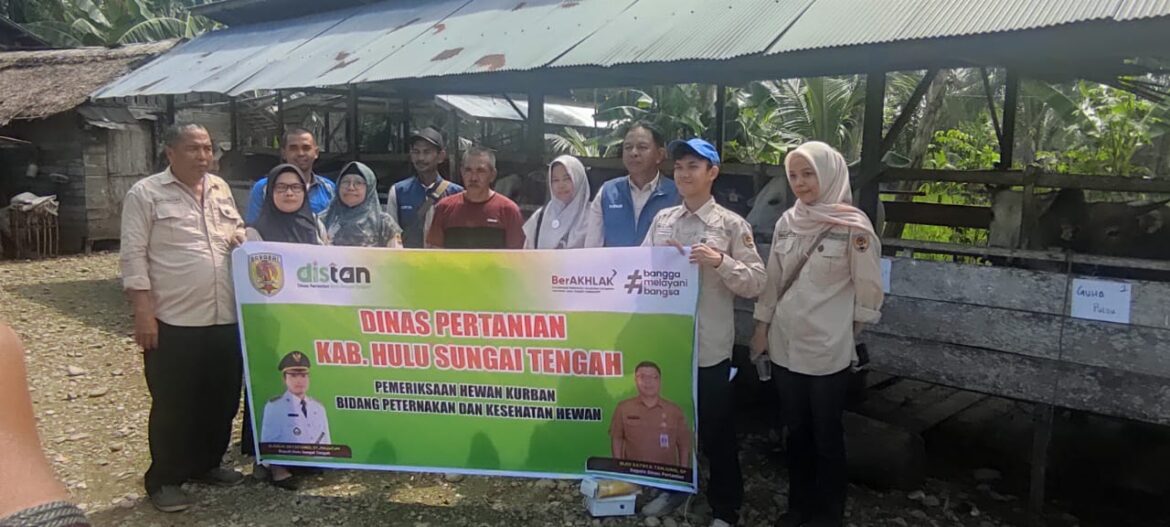 Satgas Peternakan lakukan pengecekan kepada hewan kurban di Kabupaten HST.(foto : yufanata/brt)