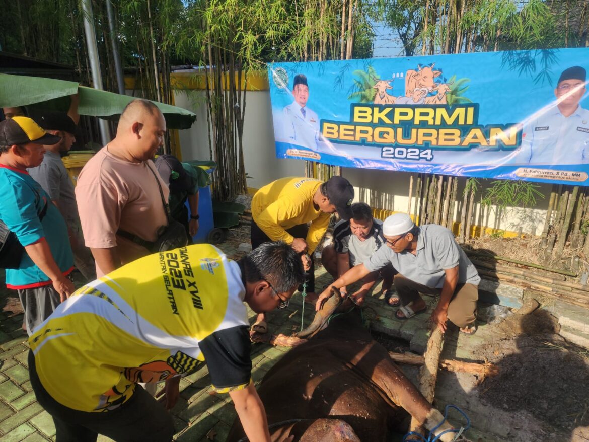 Suasana pemotongan hewan kurban yang diadakan Dispora Kalsel bersama BKPRMI Kalsel, Selasa (18/6/2024) pagi di halaman Kantor Dispora Kalsel, Banjarmasin. (foto: Tolah/brt)