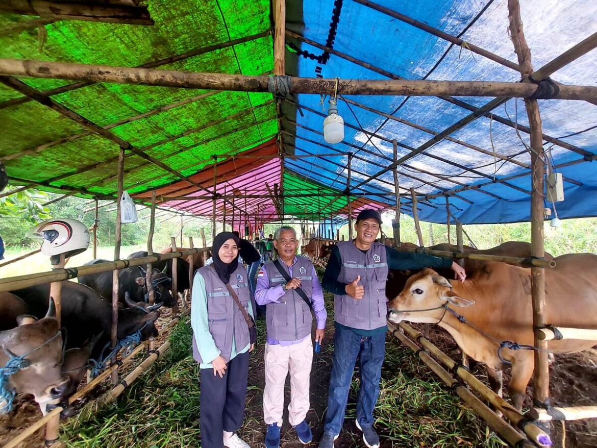 Disbunak Batola Jaga Kesehatan Daging Hewan Kurban