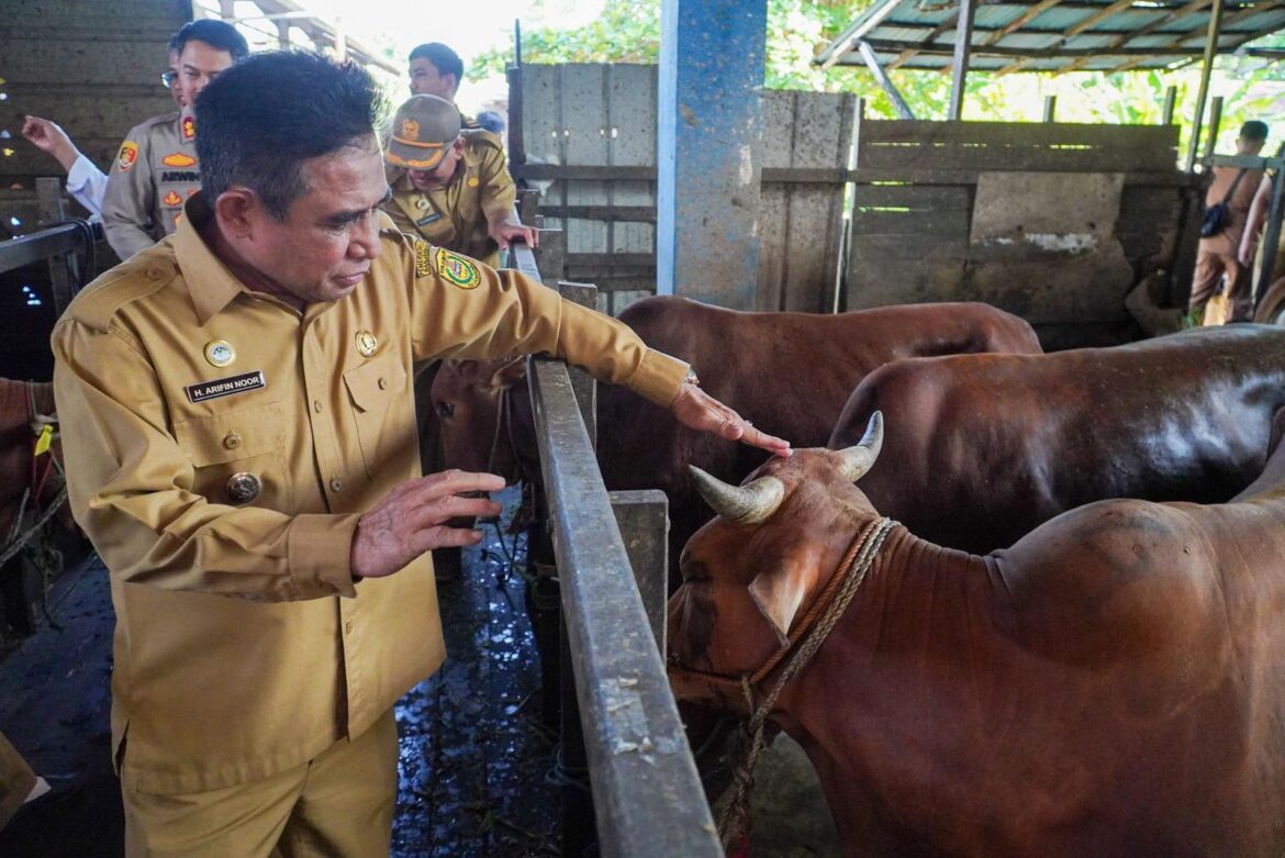 Wakil Wali Kota Banjarmasin, Arifin Noor
