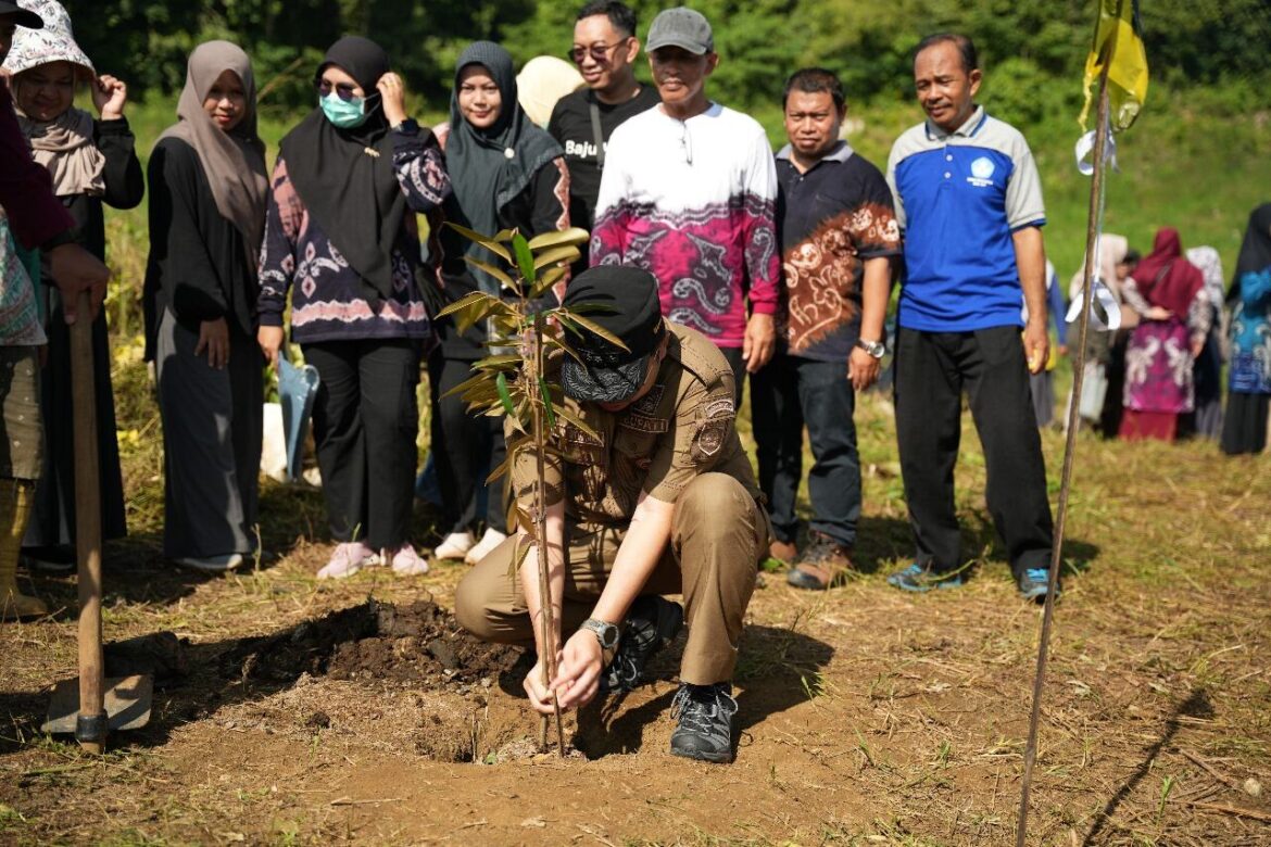 Bupati Aulia Lakukan Penananaman Pohon