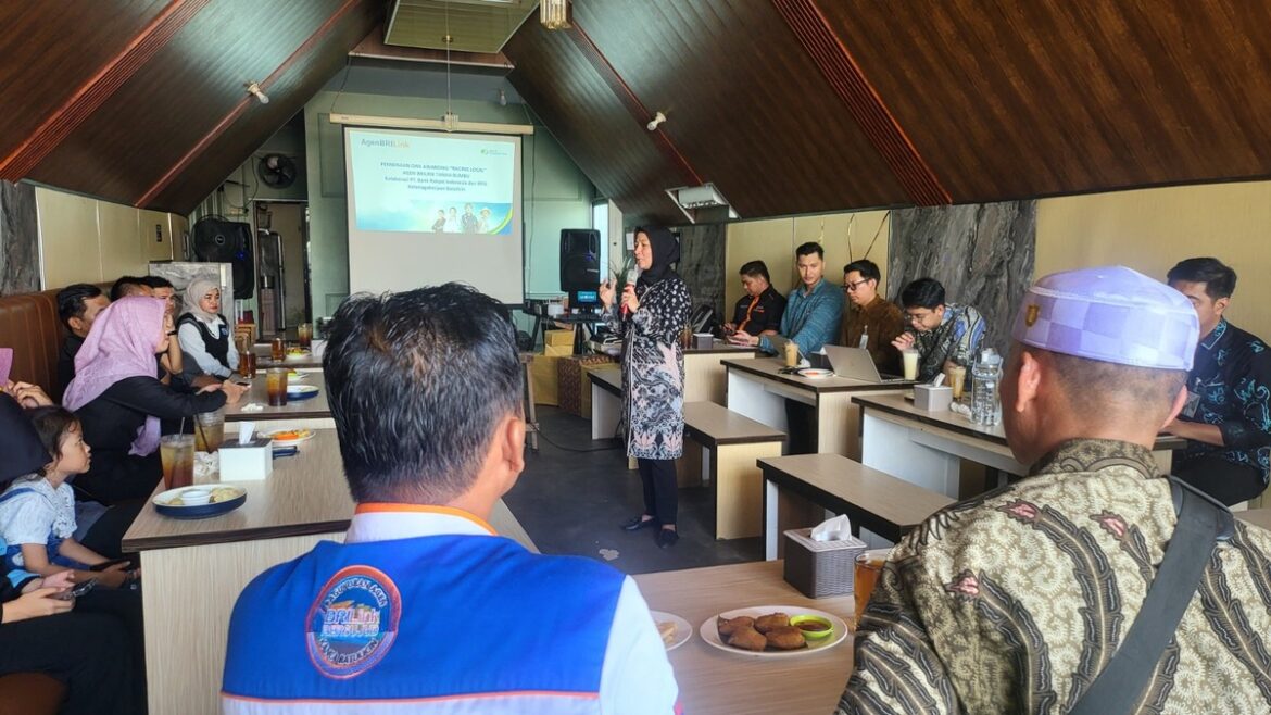 SAMBUTAN HANGAT - Kepala BPJS Ketenagakerjaan Kantor Cabang Batulicin Vina Dwina Yuskin memberikan sambutan hangat kepada Agen BRILink di Kabupaten Tanah Bumbu dan Kotabaru, Kamis (14 November 2024).(foto : ist)