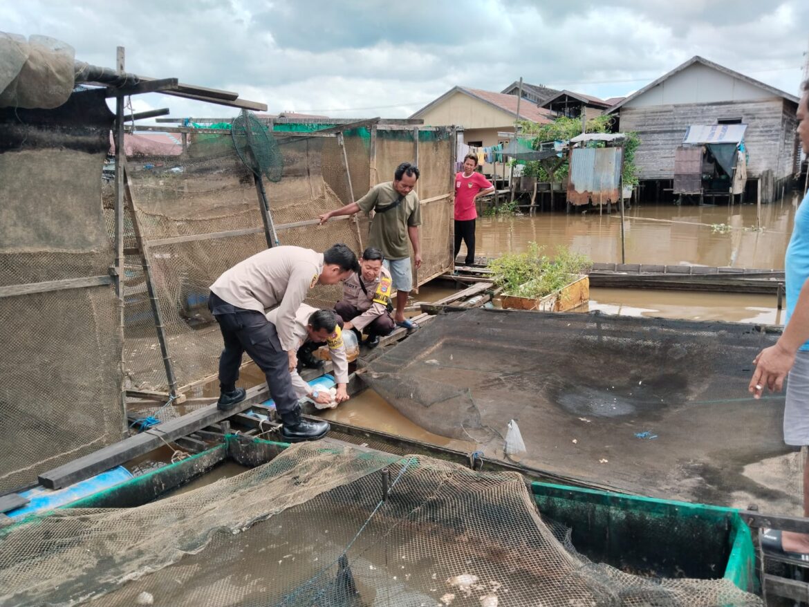 Bantuan 1000 benih ikan diserahkan Kapolsek Banjarmasin Timur AKP Syuaib Abdullah, pasca petambak di Benua Anyar mengalami musibah perubahan iklim matinya ikan secara massal, Selasa (17/12/2024).