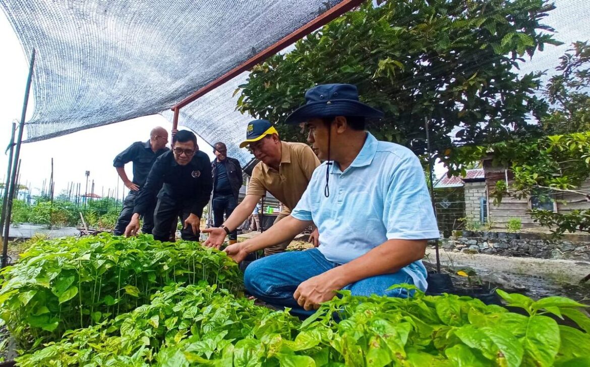 Program Wartawan Menanam Dukung Ketahanan Pangan