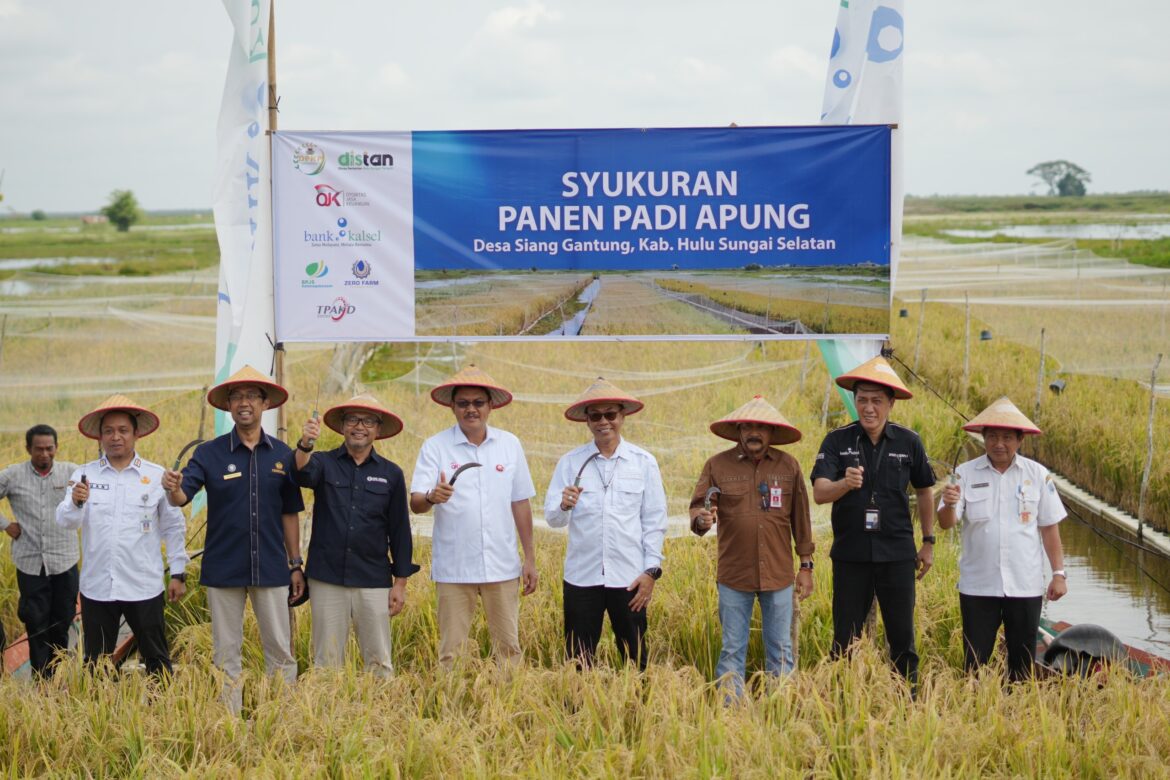 egiatan ini merupakan bukti komitmen dan dukungan OJK bersama Industri Jasa Keuangan untuk mengakselerasi pengembangan budi daya padi apung di Kalimantan Selatan melalui kolaborasi dengan pemerintah daerah, offtaker dan gabungan kelompok tani (gapoktan)
