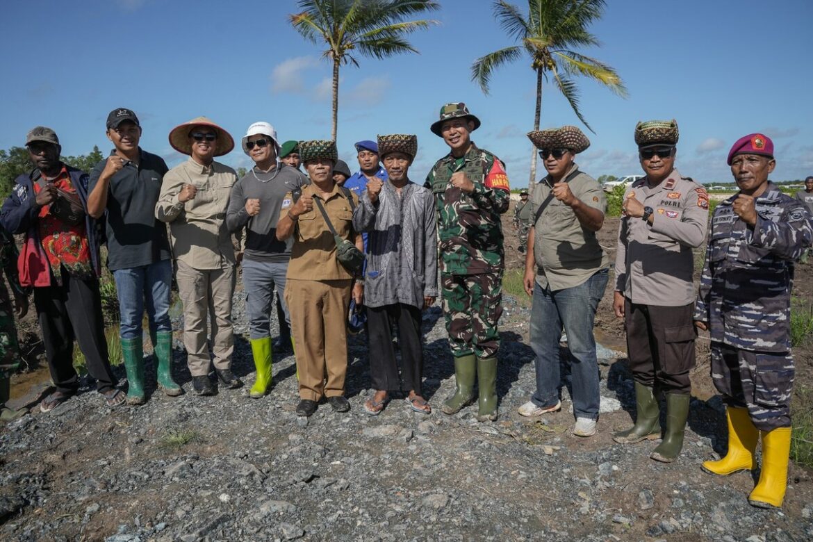 Momen bersejarah terjadi di Kampung Wanam, Papua Selatan, Jumat (16/5/2025), saat panen perdana padi di lahan cetak sawah demplot dilangsungkan.(Foto Istimewa )
