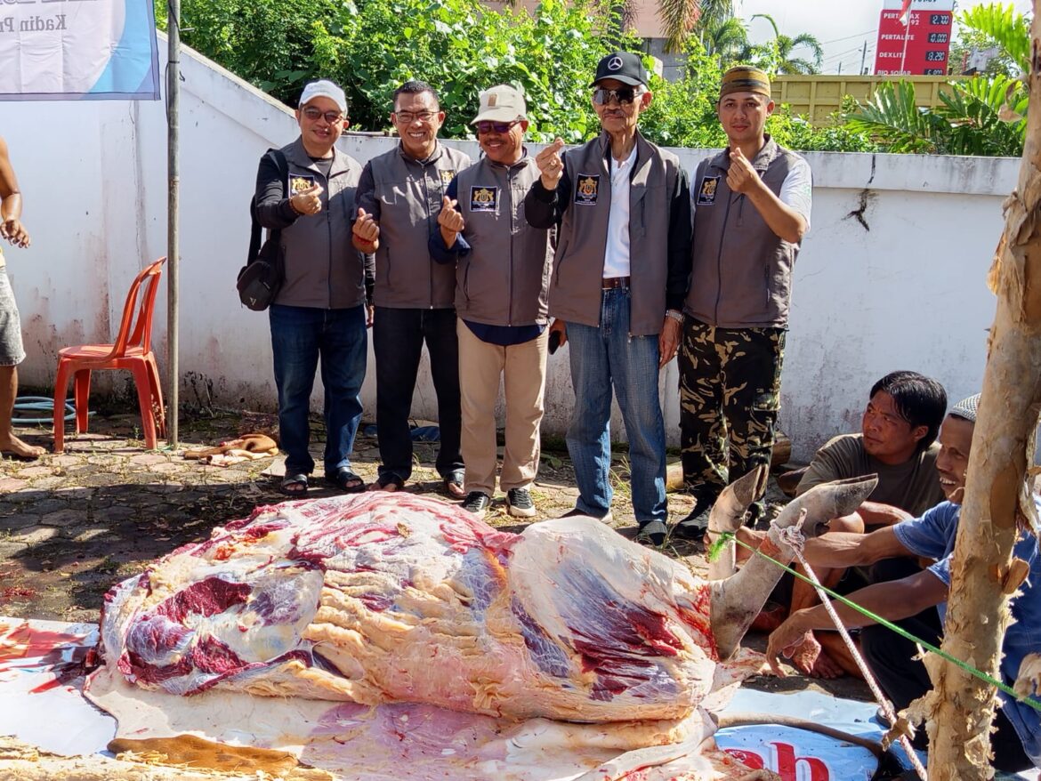 Kadin Kalsel Sembelih 3 Ekor Sapi Kurban