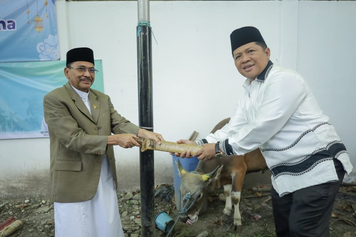 Ketua DPRD Provinsi Kalsel Dr (HC) H Supian HK, SH, MH menerima alat sembelih dari Sekretaris DPRD Provinsi Kalsel Kalsel Muhammad Jaini pada kegiatan penyembelihan sapi kurban di halaman parkir belakang Sekretariat DPRD Provinsi Kalsel di Banjarmasin.(foto : humasdprdkalsel)