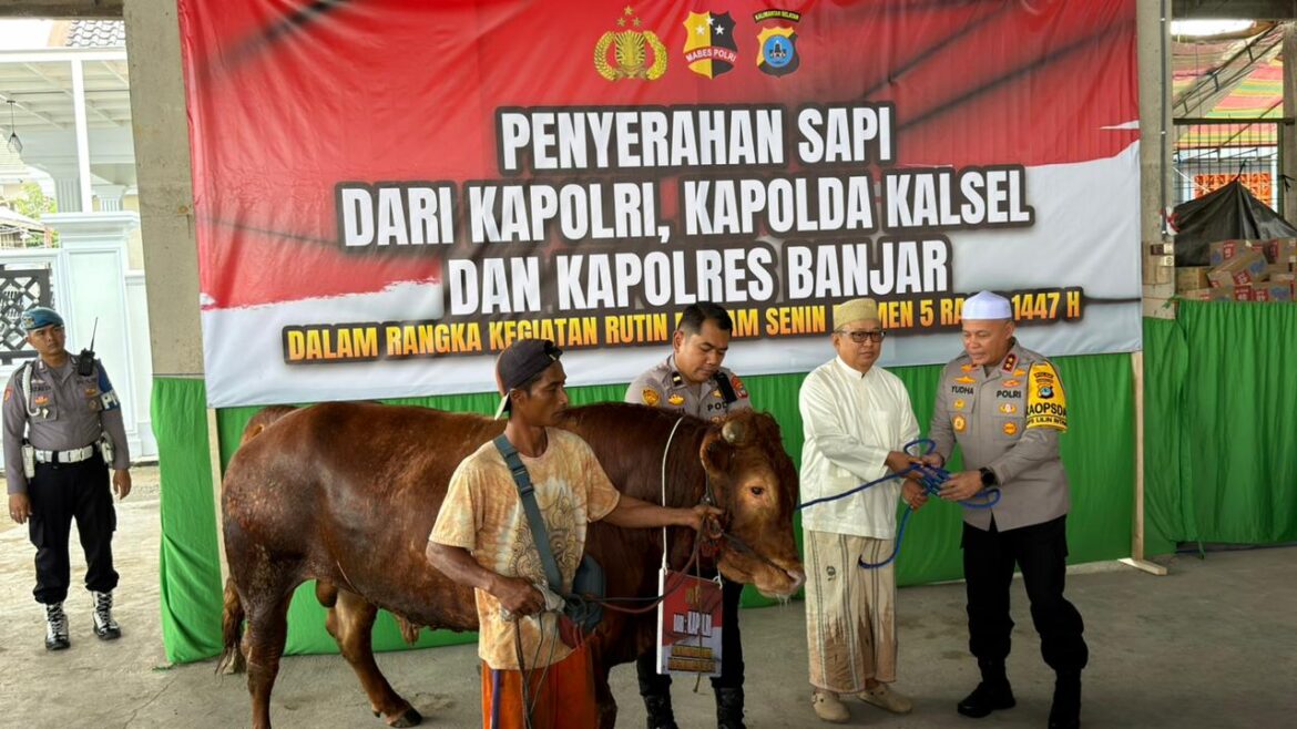 Kapolda Kalsel Irjen Pol Rosyanto Yudha Hermawan, S.I.K., S.H., M.H., saat menyerahkan bantuan sapi secara simbolis kepada KH Sa’dudin selaku pengelola Dapur Umum Sektor Taufik.