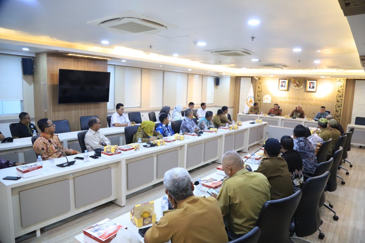 APDESI Sampaikan Aspirasi ke Anggota DPD RI utusan Kalsel