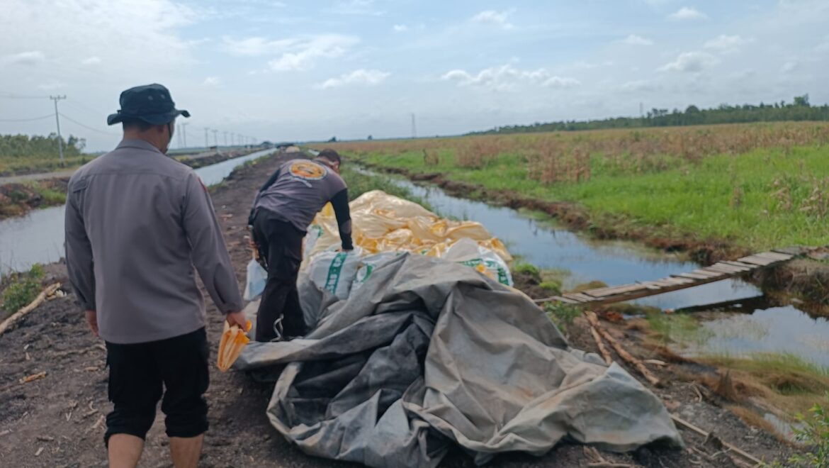 RAMPUNGKAN PANEN -Dua anggota Polresta Banjarmasin saat merampungkan panen jagung yang digenjot selama satu bulan ini selesai dilaksanakan di Jalan Gubernur Syarkawi Kabupaten Banjar, Senin (2/2/2026). (foto:istimewa)