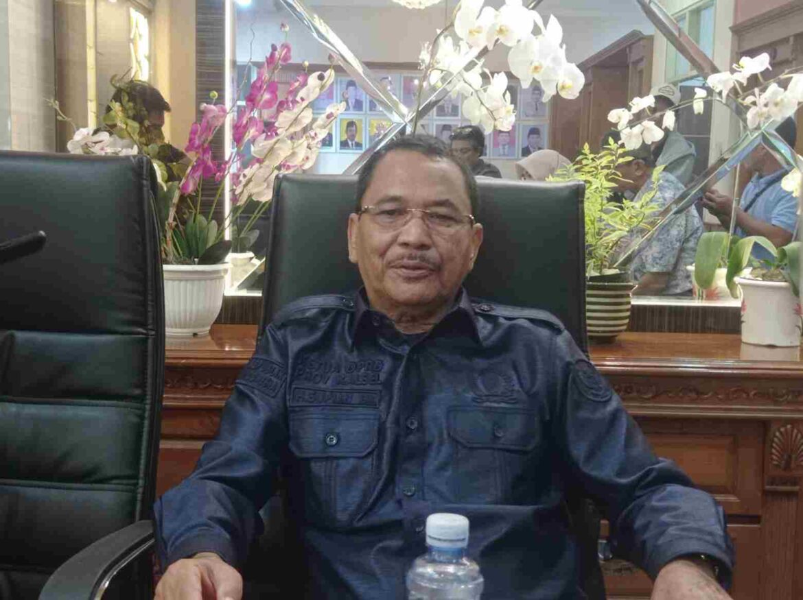Ketua DPRD Provinsi Kalsel Dr (HC) H Supian HK, SH, MH.(foto : ist)