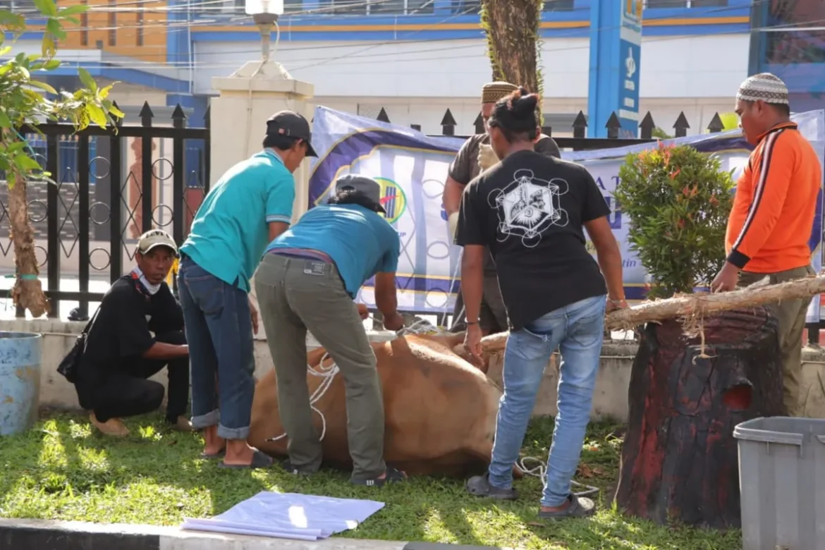 DAGING QURBAN - Beberapa petugas Polresta Banjarmasin bersama sang jagal saat menyembelih sapi qurban di jalan dekat Kantor Dokter, Rabu 27/5/2026).(foto:istimewa)