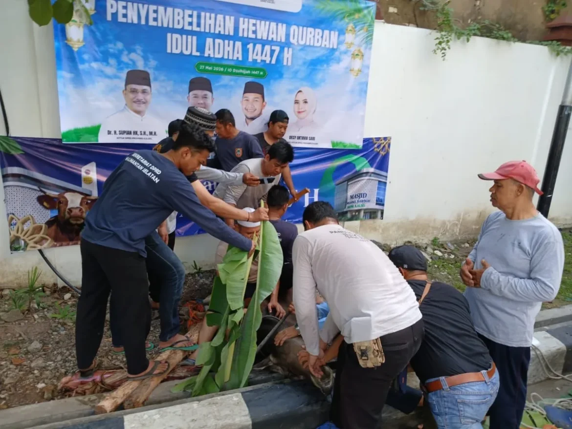 SEMBELIH KURBAN-Prosesi penyembelihan sapi kurban di halaman belakang Sekretariat DPRD Provinsi Kalsel bantuan Bank Kalsel.(foto : sophan/brt)